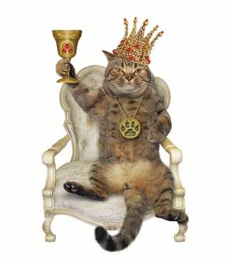 Bir sandalyede bir fincan ile Kedi kral 2