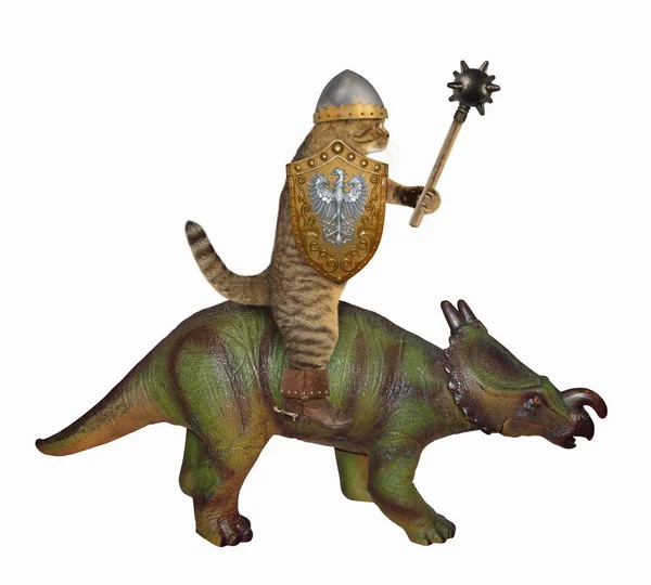 Кошачий воин верхом на динозавре — стоковое фото