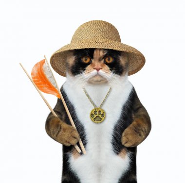 Kedi yemek çubukları ile suşi 2