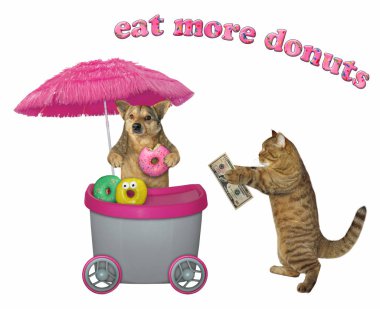 Kedi bir köpekten çörek alır