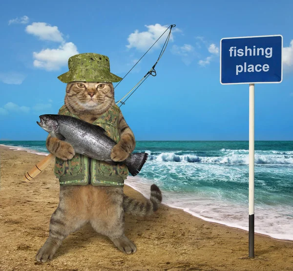 Pescador gato cerca de la señal 2 — Foto de Stock