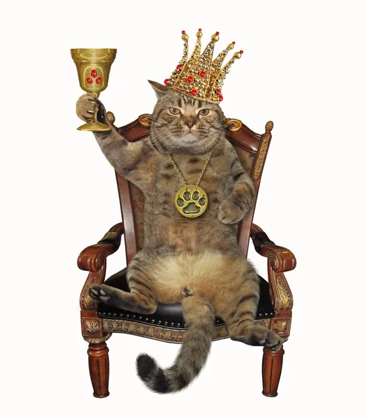 Γάτα βασιλιάς με ένα κύπελλο σε μια καρέκλα — Φωτογραφία Αρχείου