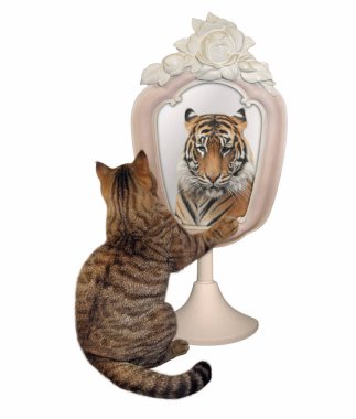 Kedi yansıması 2 bakar