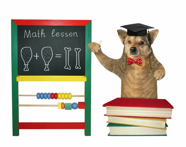 Kutya tanít mellett egy tábla — Stock Fotó