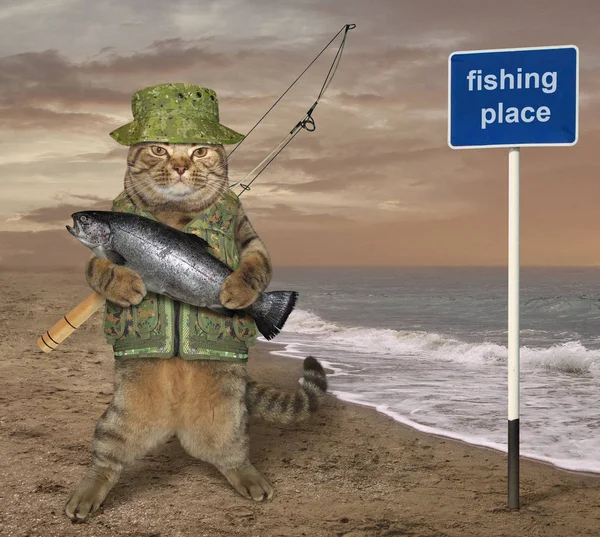 Cat fisherman near the sign — Stock Photo, Image