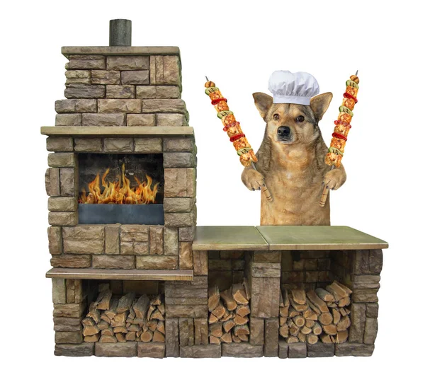 Pies z grillowanym mięsem w pobliżu grilla Grill — Zdjęcie stockowe