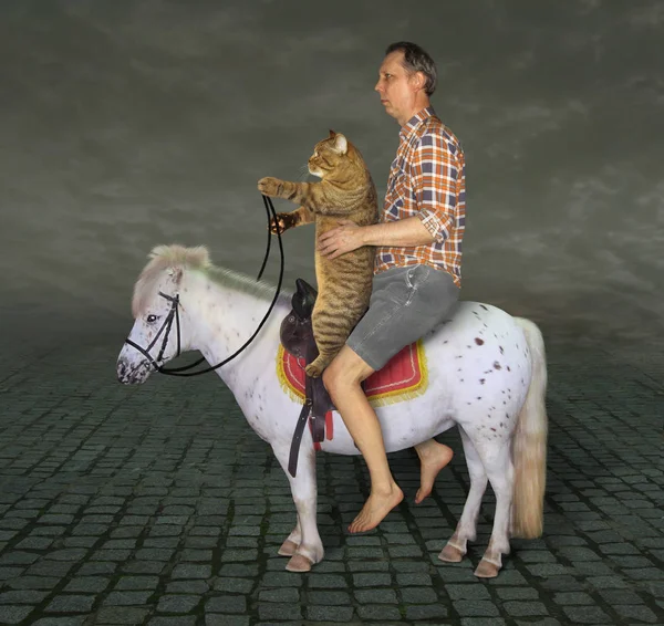 L'uomo e il suo gatto sul pony — Foto Stock