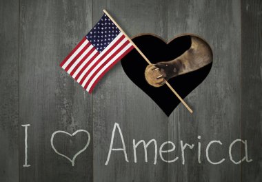 Amerikan bayrağını tutan kedi