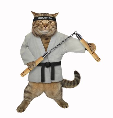 Kedi karate savaşçı nunchuck tutar