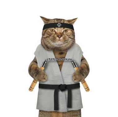 Nunchuck 4 ile Kedi karate savaşçı