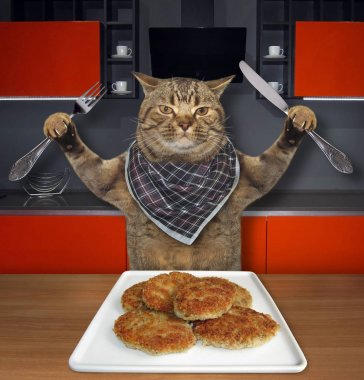 Kedi mutfakta et köftesi yiyor