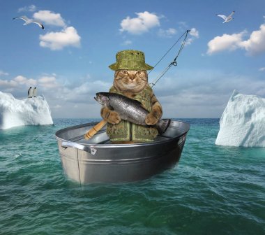 Kedi balıkçı bir küvetiçinde sürüklenen