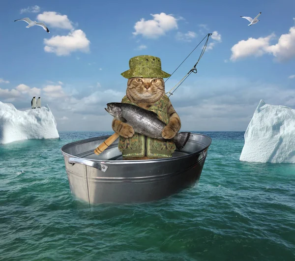 Pescador de gatos a la deriva en una bañera — Foto de Stock