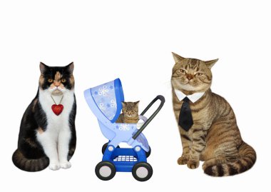 Kedi çift ve onların kedi yavrusu