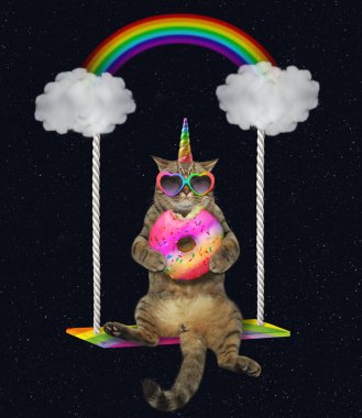 Sallanan bir donut ile Kedi tek boynuzlu at