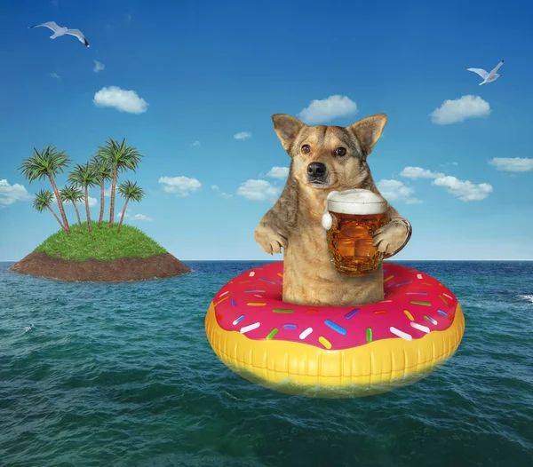 Dog with beer on an inflatable donut