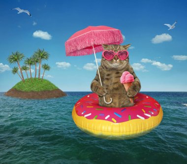 Denizde dondurma yiyen kedi