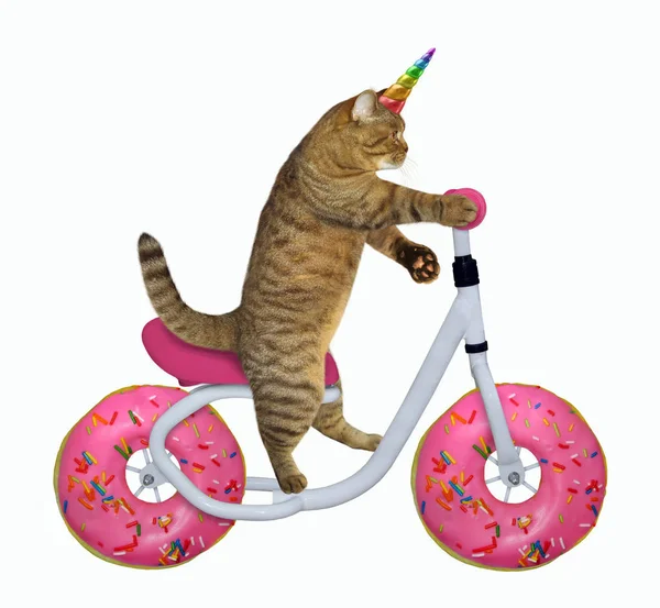 Katze Einhorn fährt Fahrrad — Stockfoto