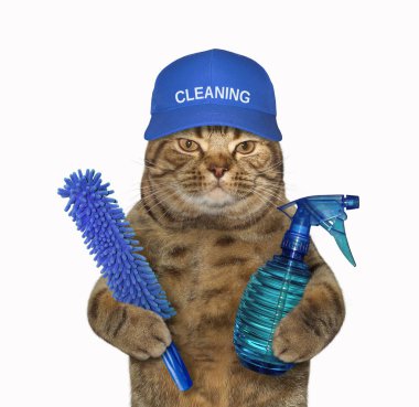 Mavi şapkalı kedi temizleyici