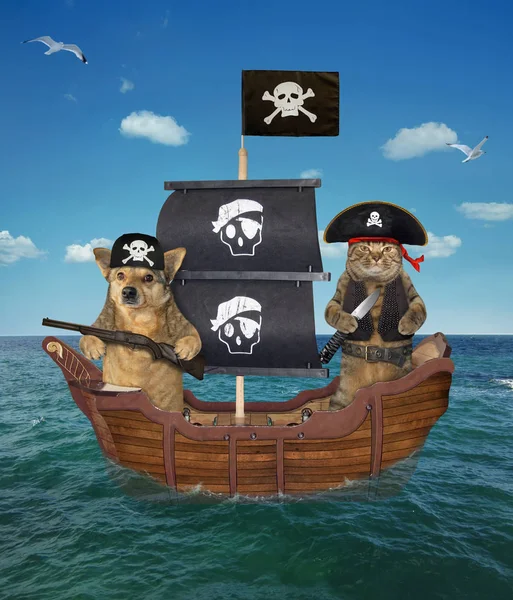Dog and cat pirate on the ship