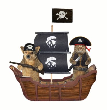 Gemide köpek ve kedi korsan 3