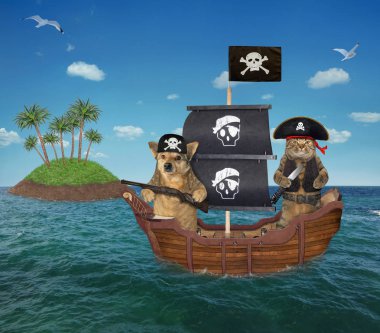 Gemide köpek ve kedi korsan 2