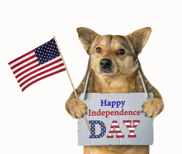 Dog patriot with a flag — Stock Photo, Image