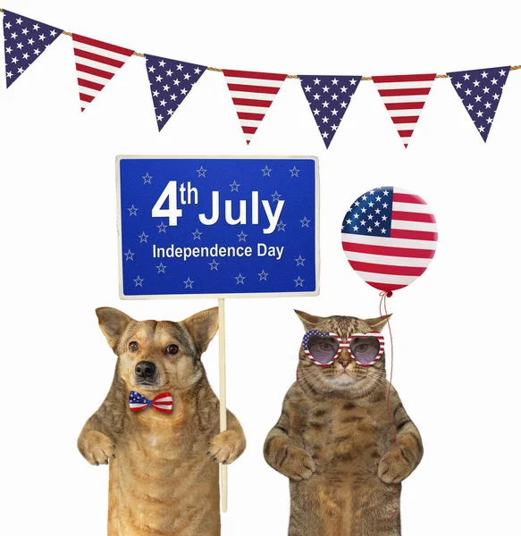 Dog and cat patriot — Stock Photo, Image