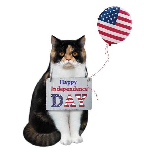 Cat patriotic with a balloon — Stock Photo, Image