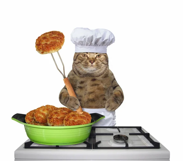 Cat kockar stekt kotletter på en spis — Stockfoto