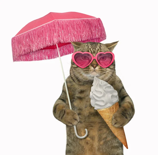 Cat eating an ice cream cone 2 — Stock Photo, Image