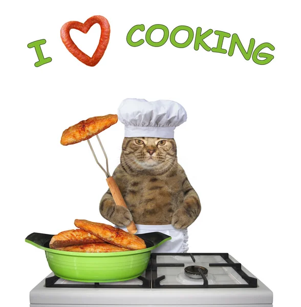 Cat cooks fried fish on a stove 2
