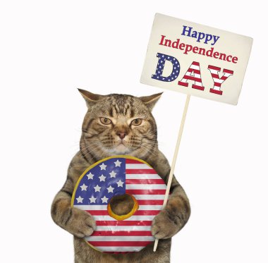 Amerikan donutlu kedi 2