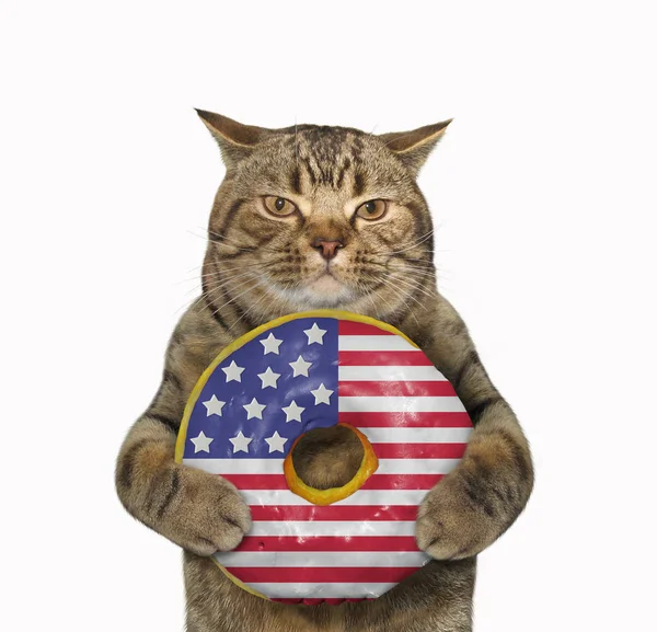 Katze mit amerikanischem Donut — Stockfoto