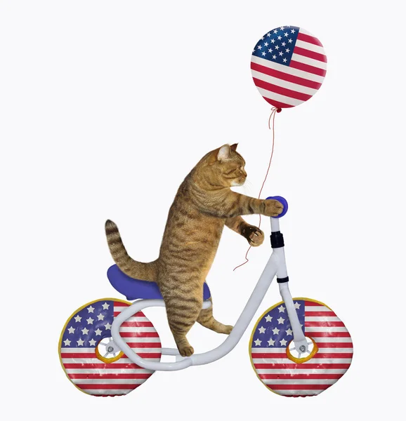 Katze Patriot fährt Fahrrad — Stockfoto