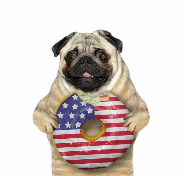 Dog with a bitten american donut 2 — Stock Photo, Image