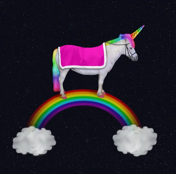 Unicorn walking on the rainbow