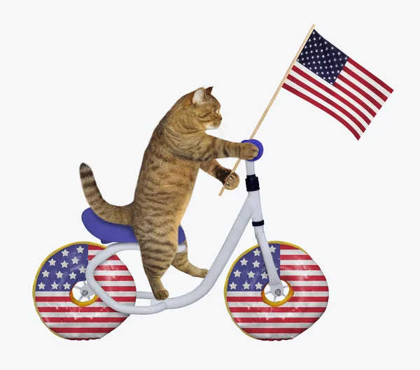 Cat patriot with a flag rides a bicycle