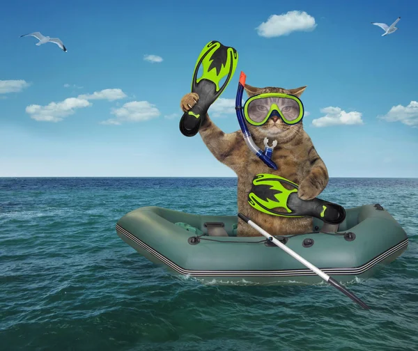 Cat diver drifting in a rubber boat 2