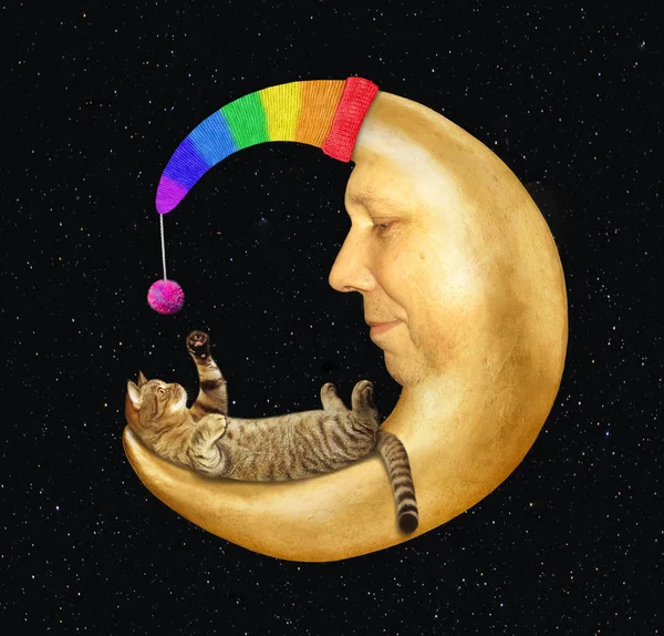 Kot leży na Księżycu w kapeluszu 2 — Zdjęcie stockowe