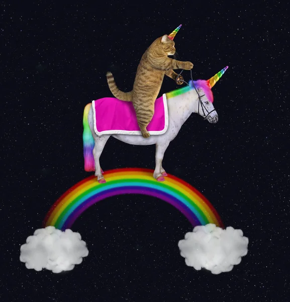 Caticorn rides an unicorn on the rainbow