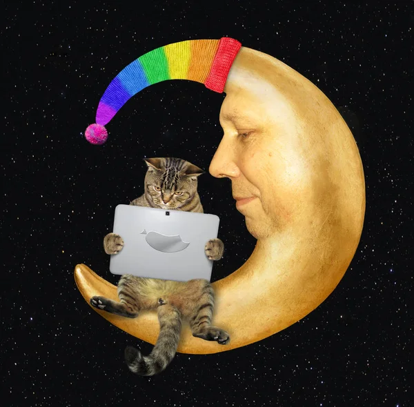 Kot z laptopem na Księżycu w kapeluszu — Zdjęcie stockowe