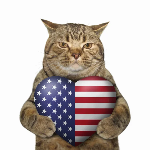 Gatto patriota con un cuore americano — Foto Stock