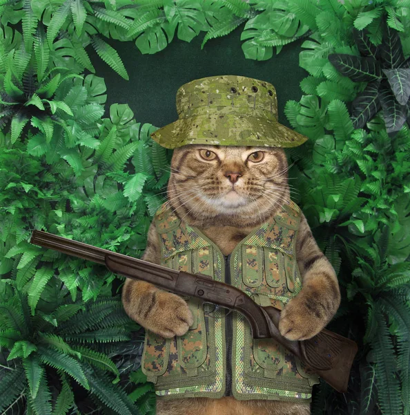Macskavadász az erdőben — Stock Fotó