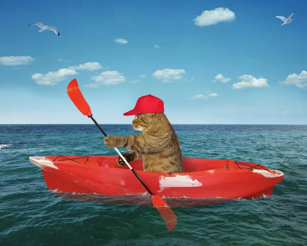 Kayak de gato en el mar — Foto de Stock