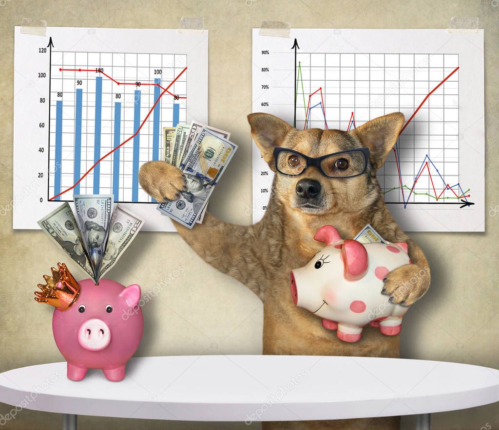 Dog financier with piggy banks