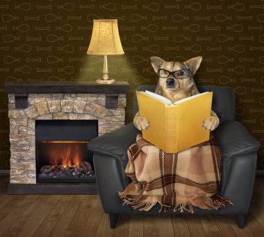 Köpek şöminenin yanında kitap okuyor.