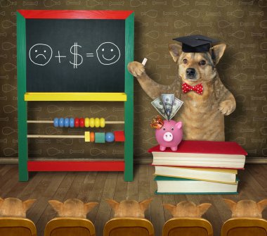 Köpek öğrencilerine finans öğretir