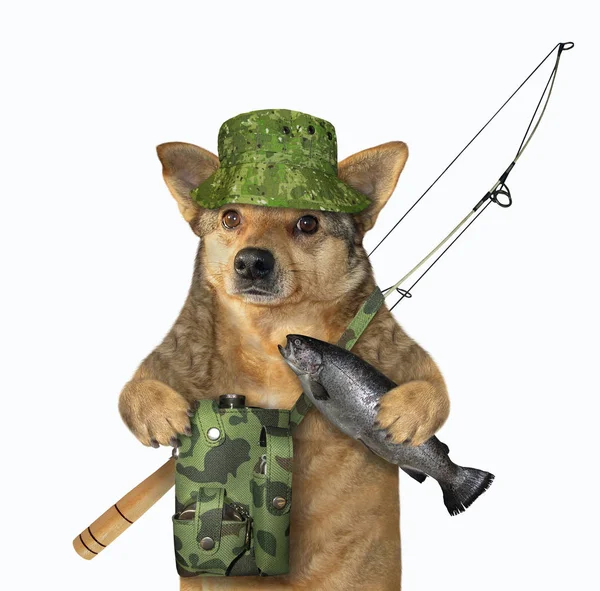 Pies Fisher trzyma złowionych ryb — Zdjęcie stockowe