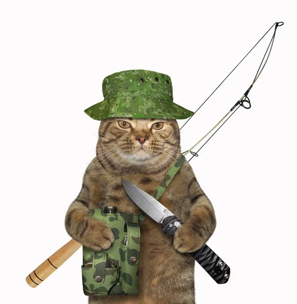 Cat fisher segura um canivete — Fotografia de Stock